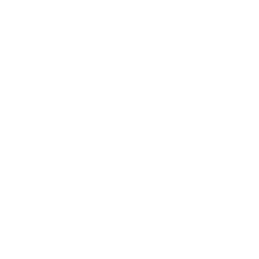 Certificate icon